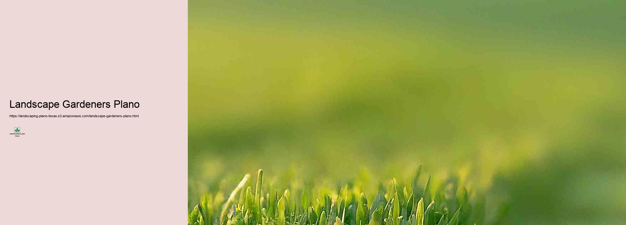 The Benefits of Expert Grass Therapy and Maintenance in Plano