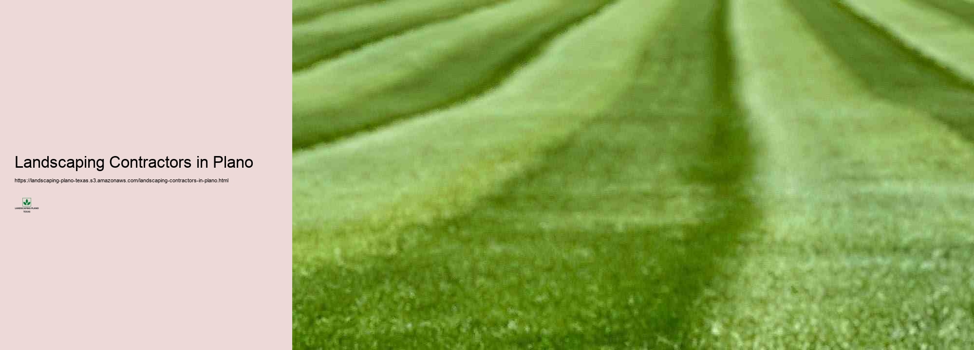 The Benefits of Expert Grass Therapy and Upkeep in Plano