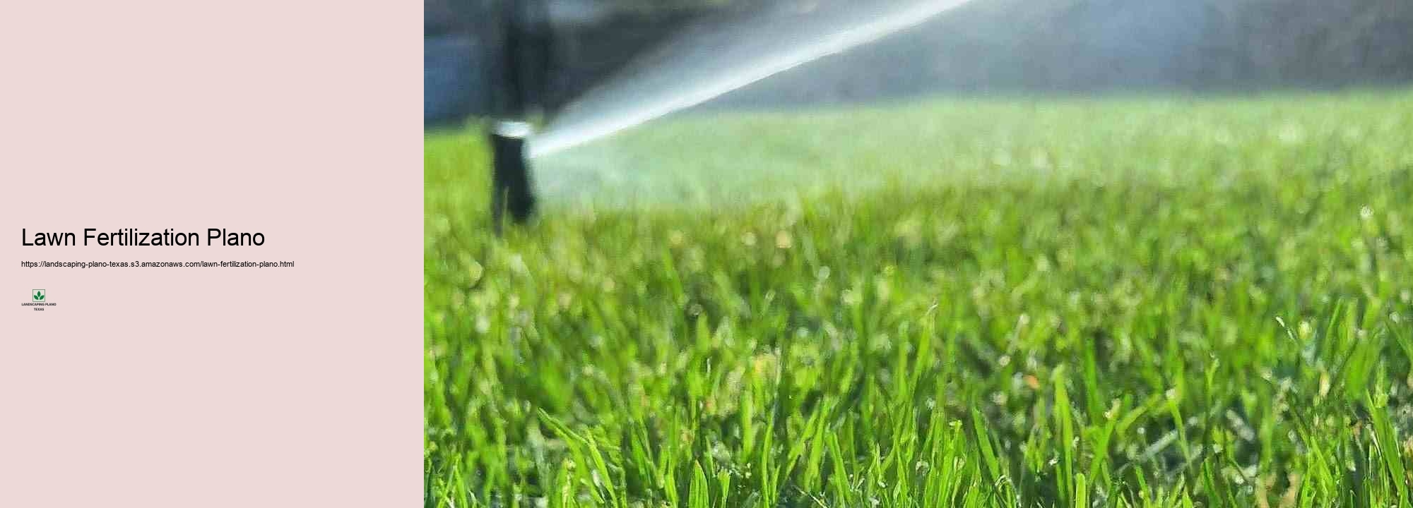 The Benefits of Professional Grass Therapy and Upkeep in Plano