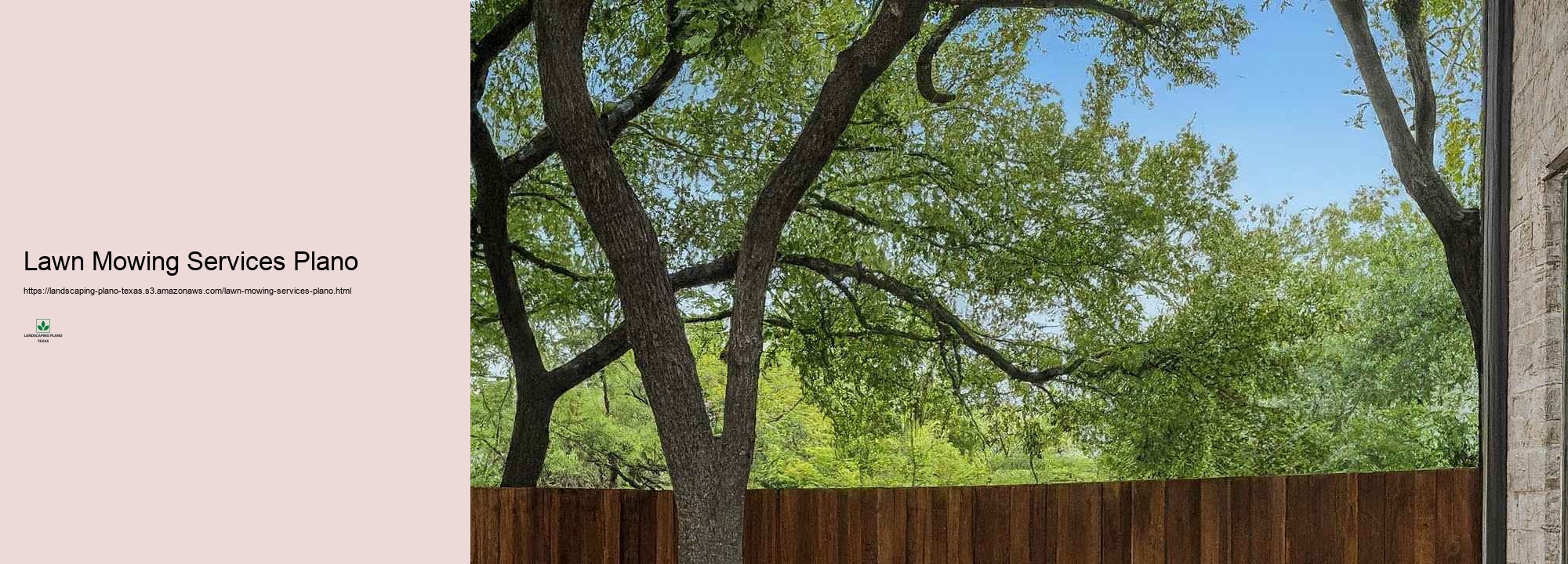 Plano's Finest Landscape layout Company: What to Anticipate