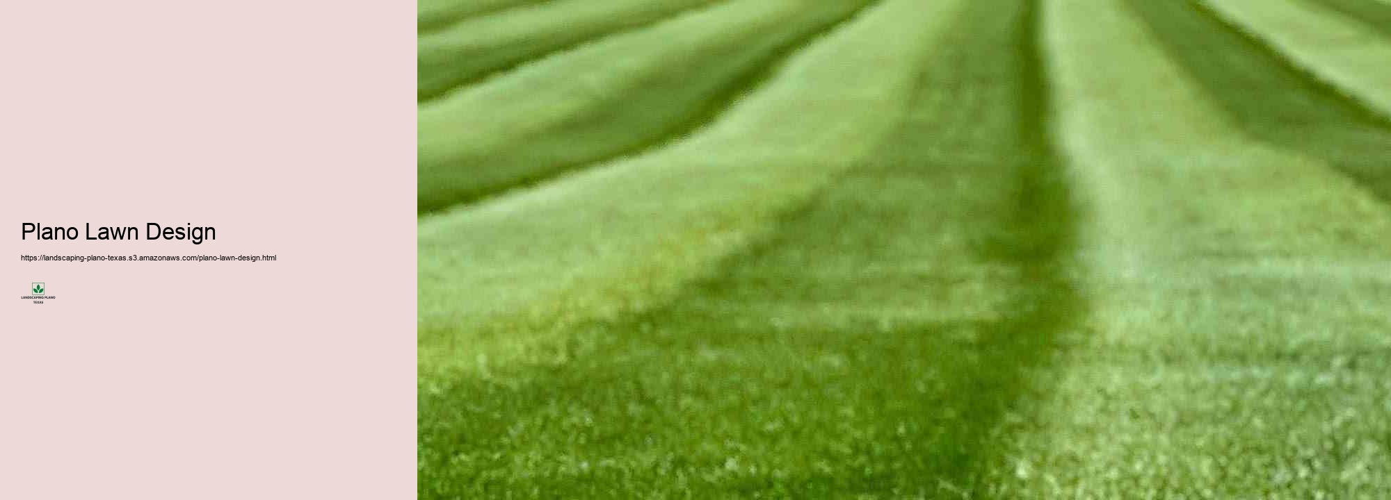 The Advantages of Professional Grass Treatment and Maintenance in Plano